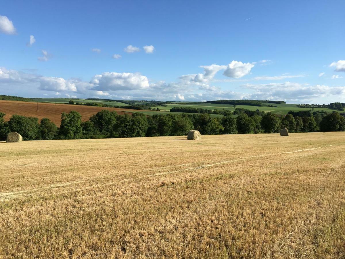 Gite Le Petit Vauthion Leugny Exterior photo